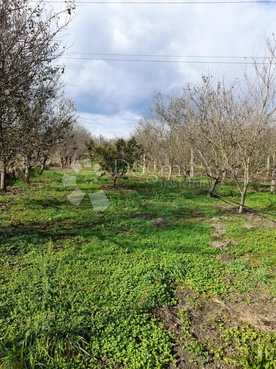 Terrain À vendre NEDELIŠĆE