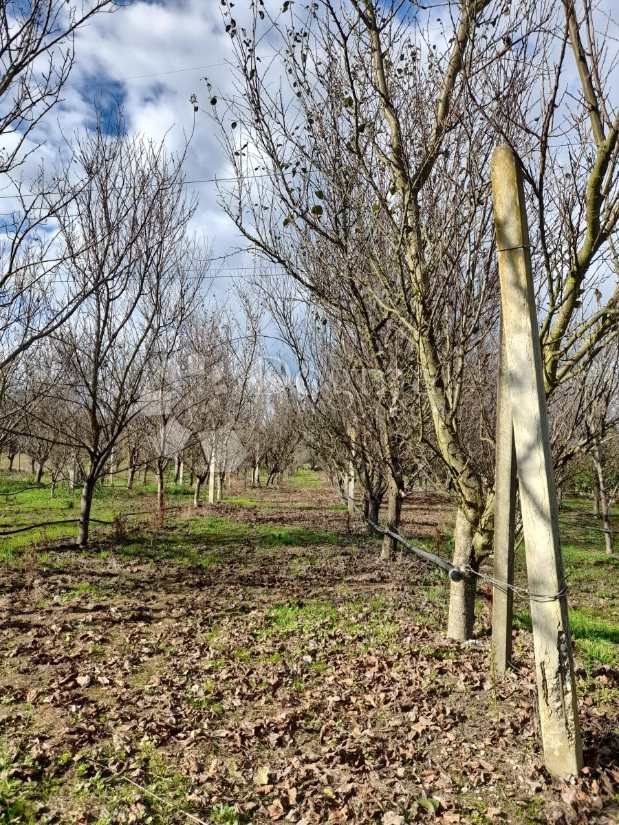 Działka Na sprzedaż - MEĐIMURSKA NEDELIŠĆE