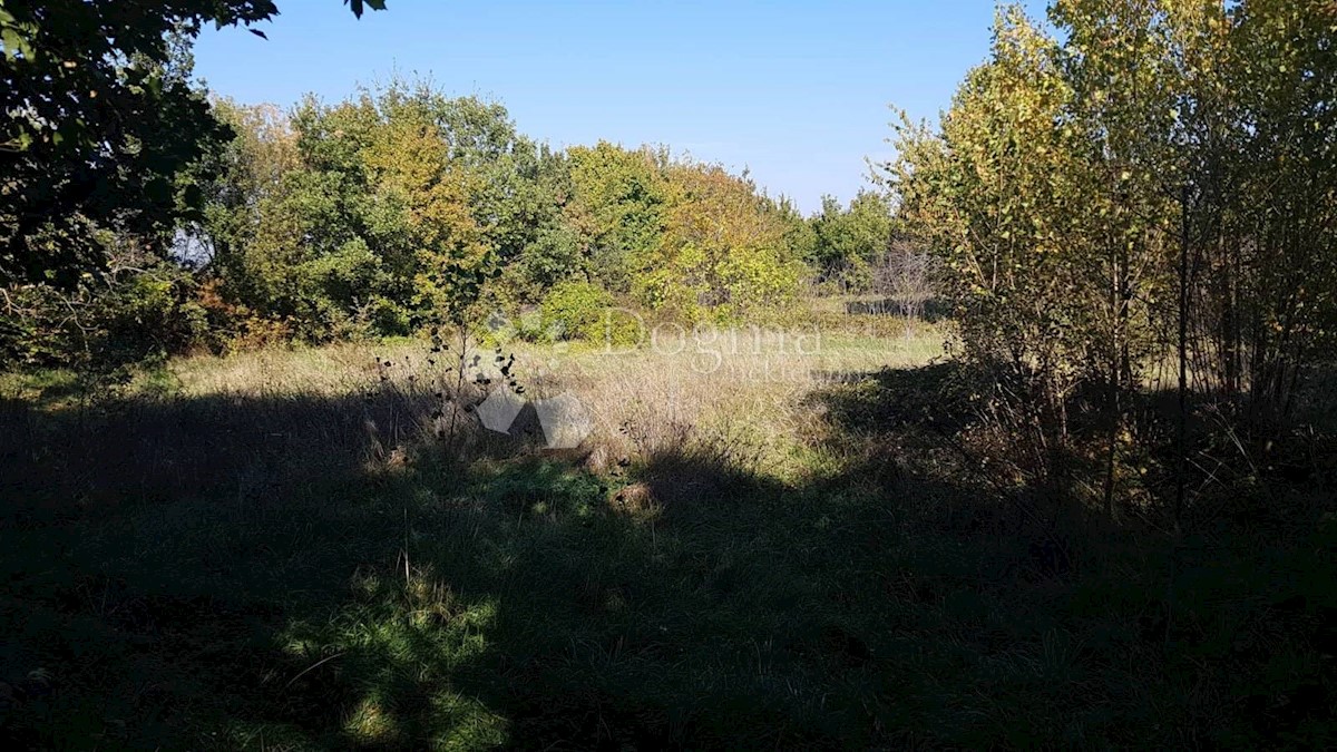 Terreno In vendita - ISTARSKA SVETA NEDELJA