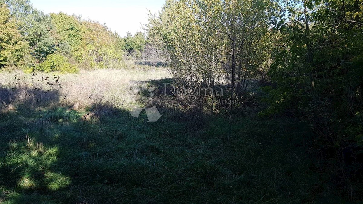 Terreno In vendita - ISTARSKA SVETA NEDELJA