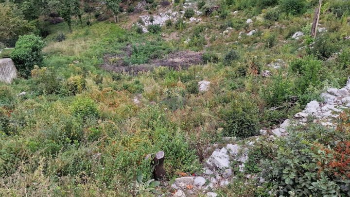 Pozemek na prodej 1894 m² – Zamet