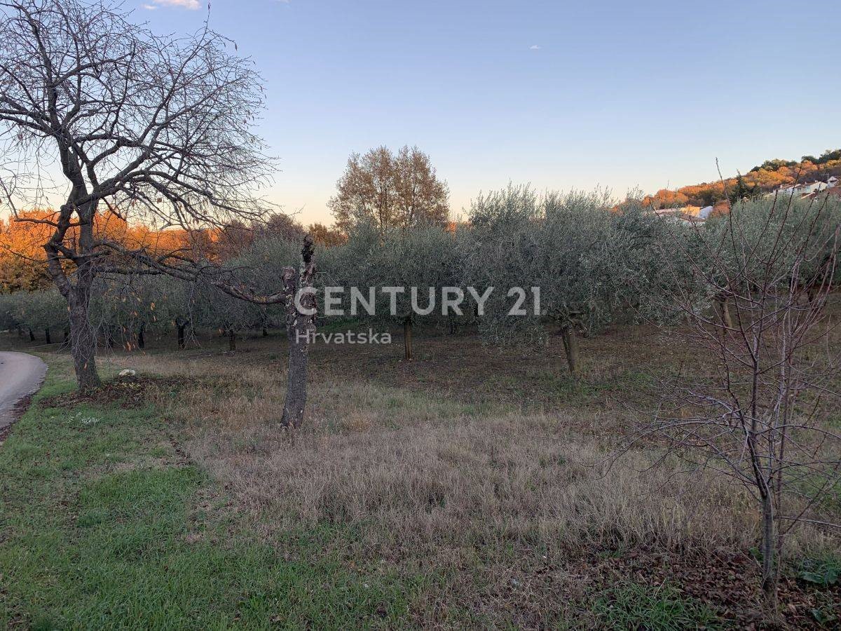 Land For sale - ISTARSKA POREČ