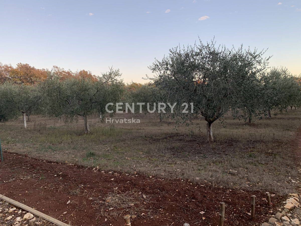 Land For sale - ISTARSKA POREČ