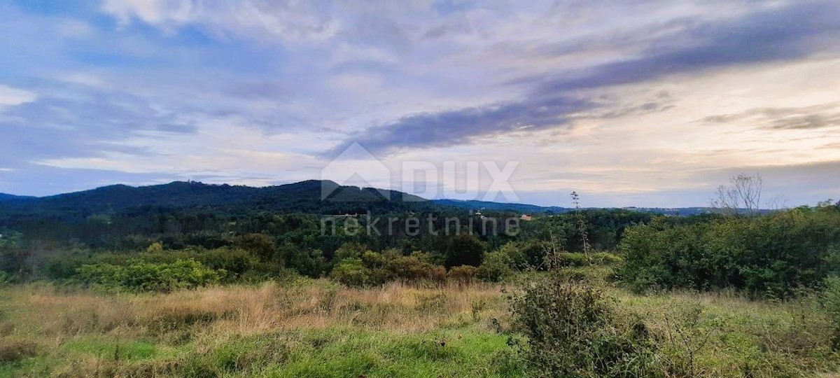 Land For sale - ISTARSKA PAZIN