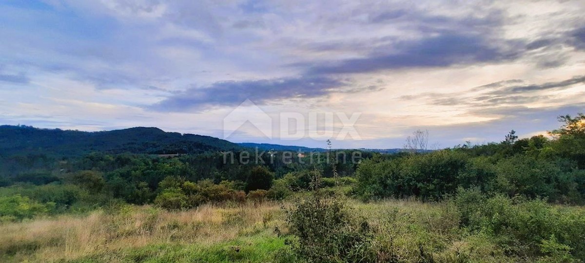 Land For sale - ISTARSKA PAZIN