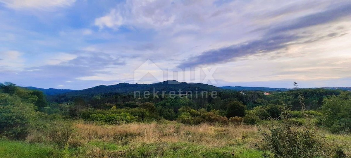 Land For sale - ISTARSKA PAZIN