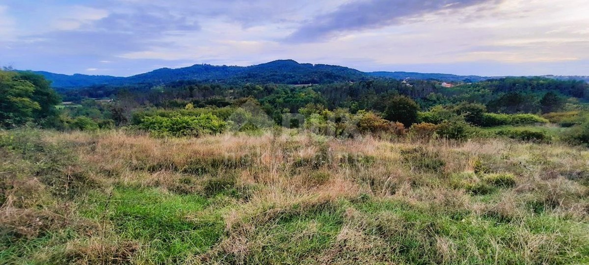 Zemljište Na prodaju - ISTARSKA PAZIN