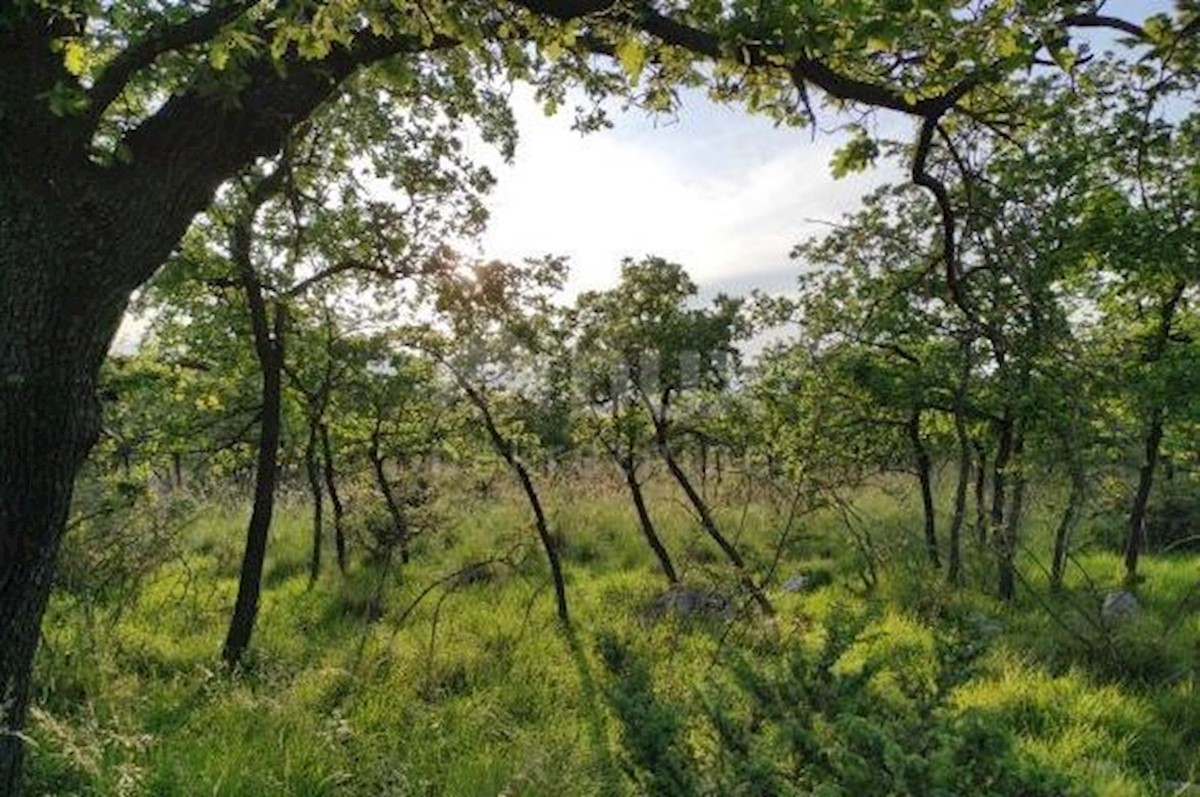 Terreno In vendita - ZADARSKA POLIČNIK