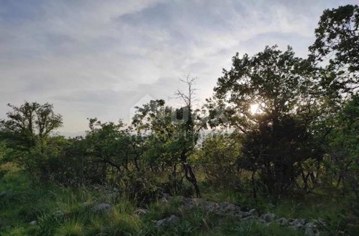 Terreno In vendita - ZADARSKA POLIČNIK