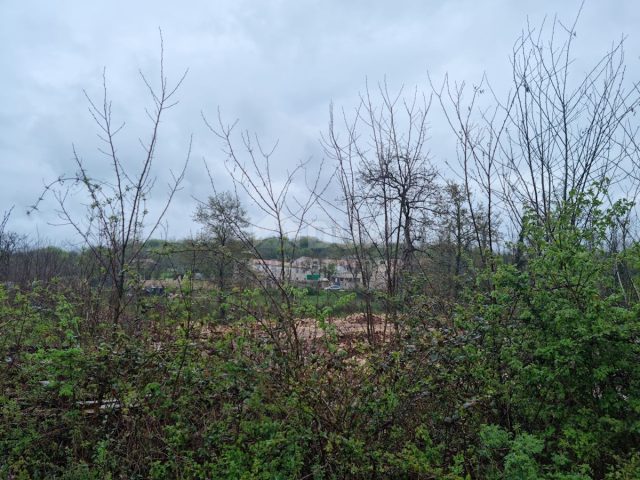Parcela Naprodaj - Istarska Tinjan - foto 5/5