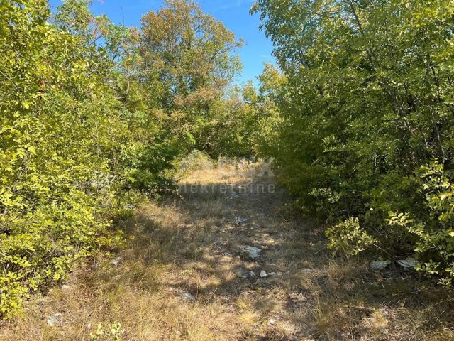 Grundstück zu verkaufen 11269 m² – Nedešćina