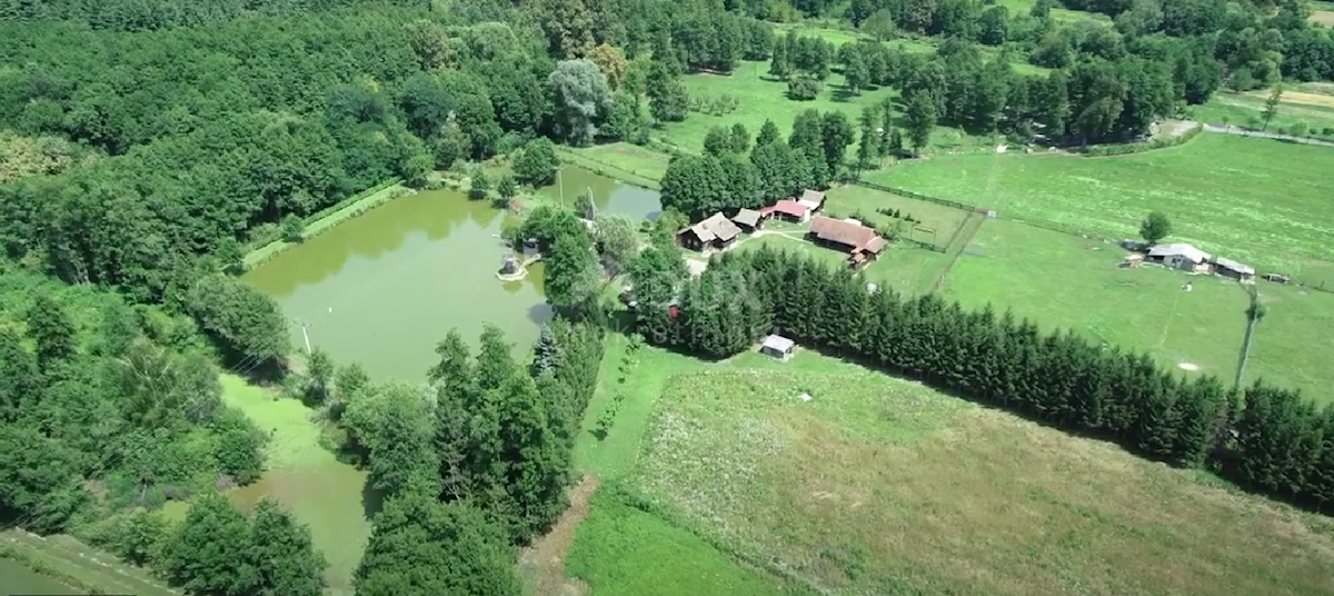 Zemljište Na prodaju - OSJEČKO-BARANJSKA NAŠICE