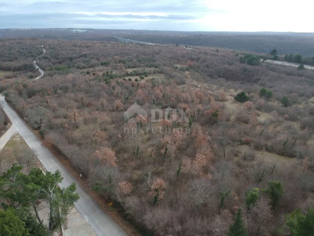 Parcela na predaj 22230 m² – Mrgani