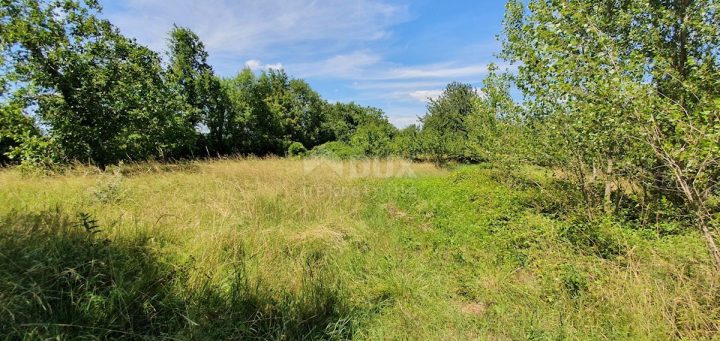 Grundstück zu verkaufen 2629 m² – Nedešćina