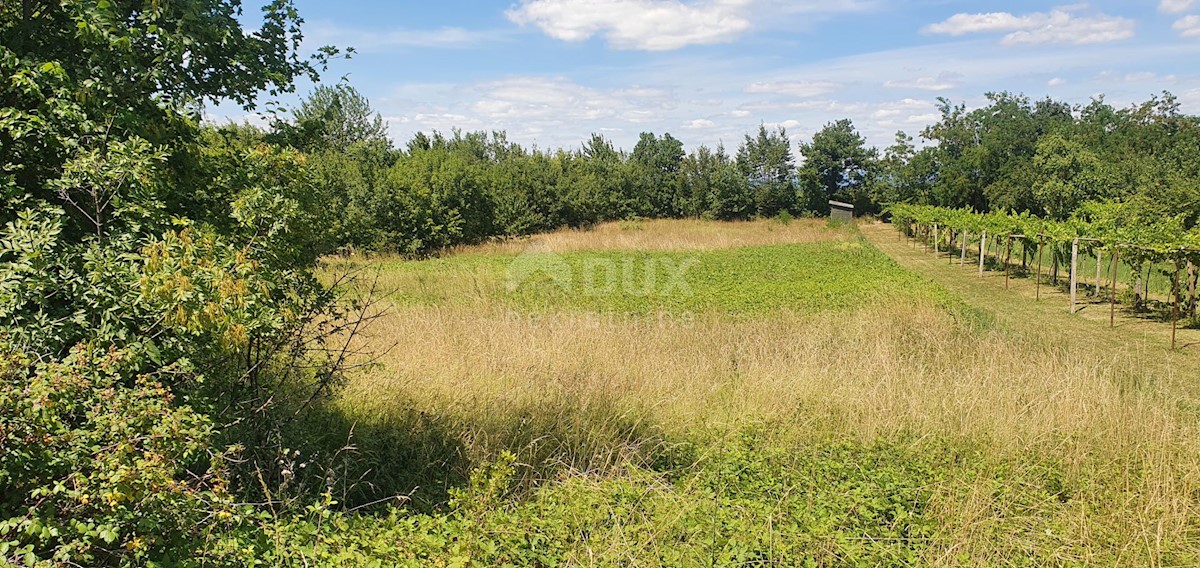 Land For sale - ISTARSKA SVETA NEDELJA