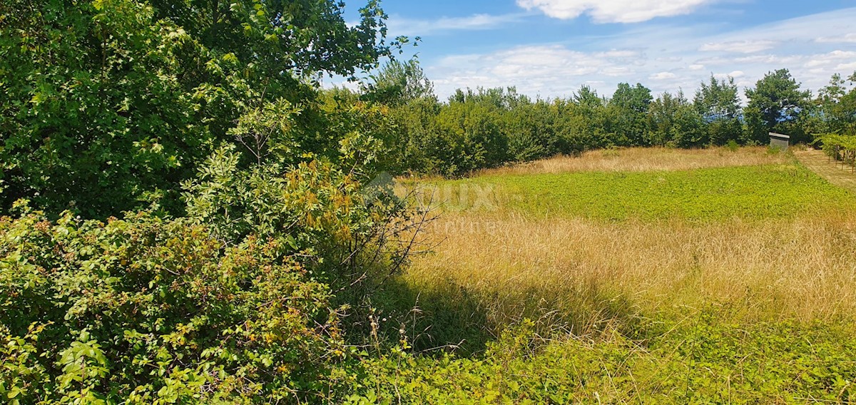 Land For sale - ISTARSKA SVETA NEDELJA