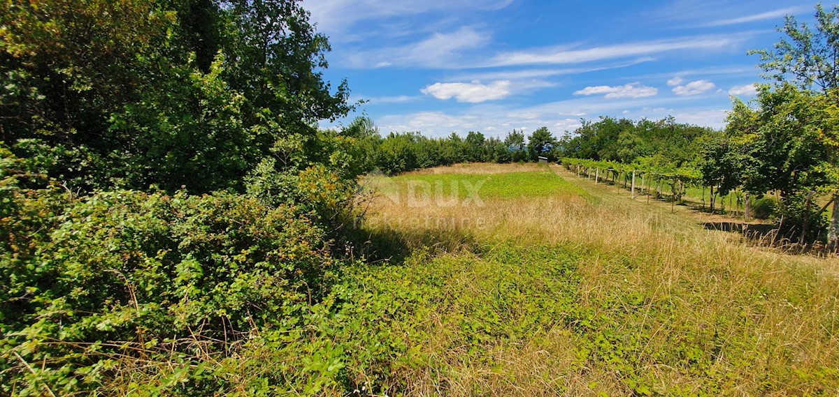 Land For sale - ISTARSKA SVETA NEDELJA