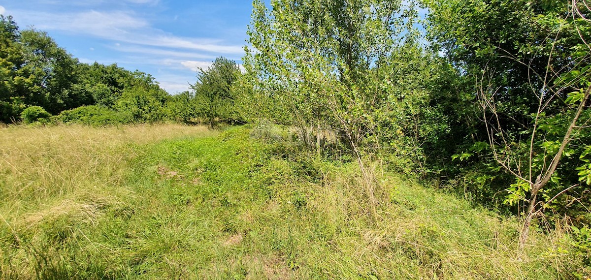 Land For sale - ISTARSKA SVETA NEDELJA