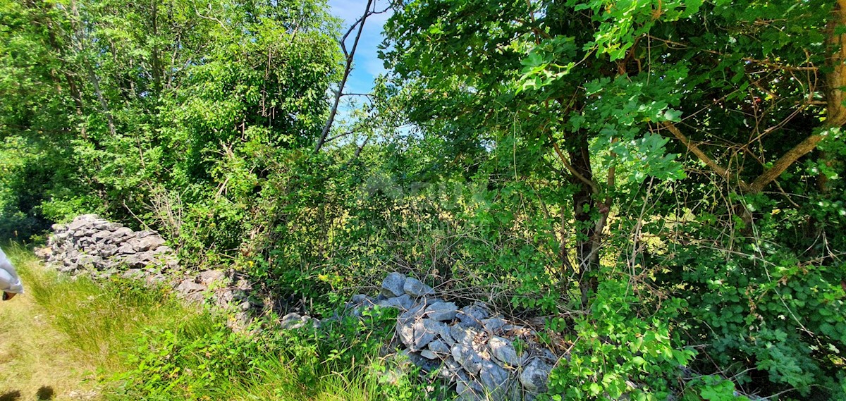 Land For sale - ISTARSKA SVETA NEDELJA