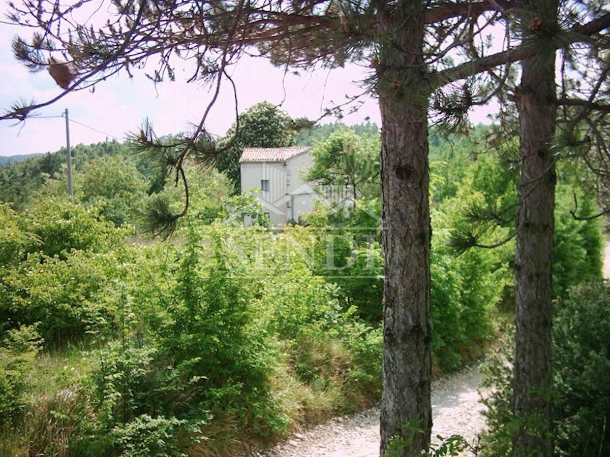 Terreno In vendita - ISTARSKA LUPOGLAV