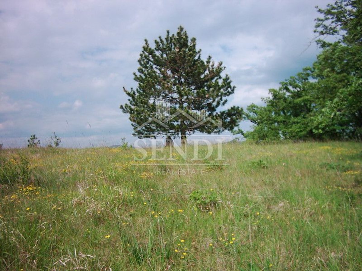 Zemljište Na prodaju - ISTARSKA LUPOGLAV