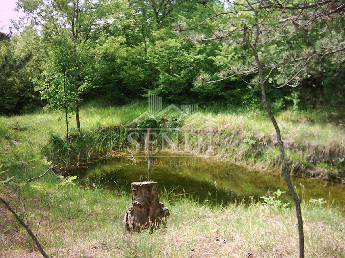 Terreno In vendita - ISTARSKA LUPOGLAV