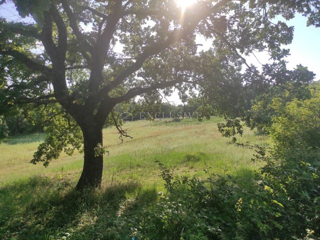 Terreno in vendita 6850 m² – Mrgani