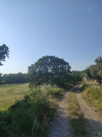 Parcela Naprodaj - Istarska Kanfanar - foto 3/4