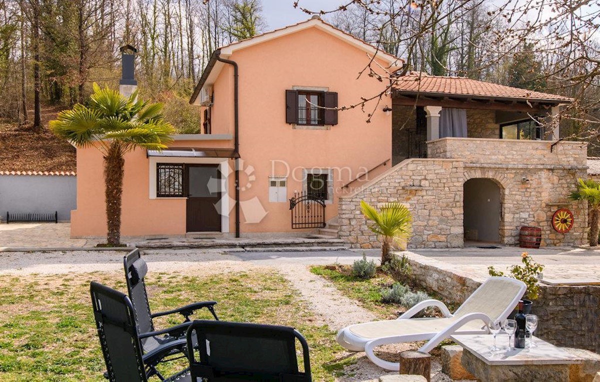 House For sale - ISTARSKA GRAČIŠĆE