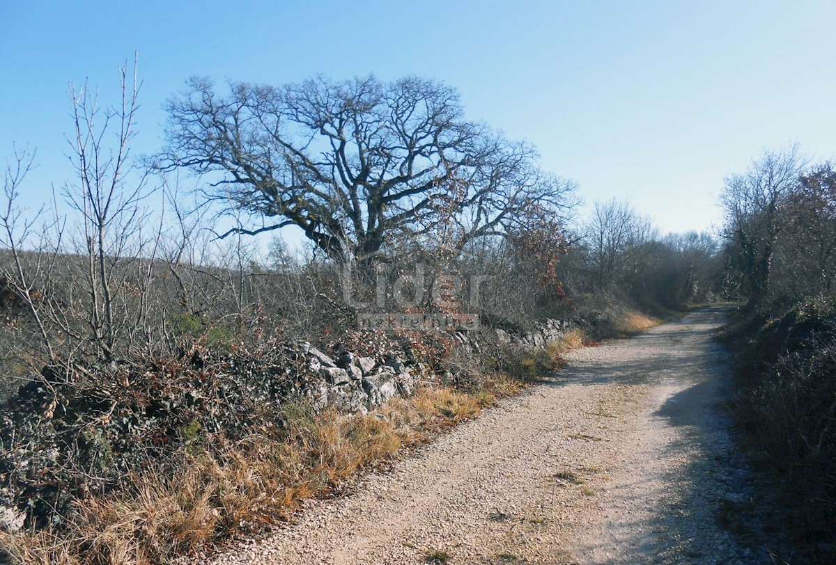 Terreno In vendita - ISTARSKA KANFANAR