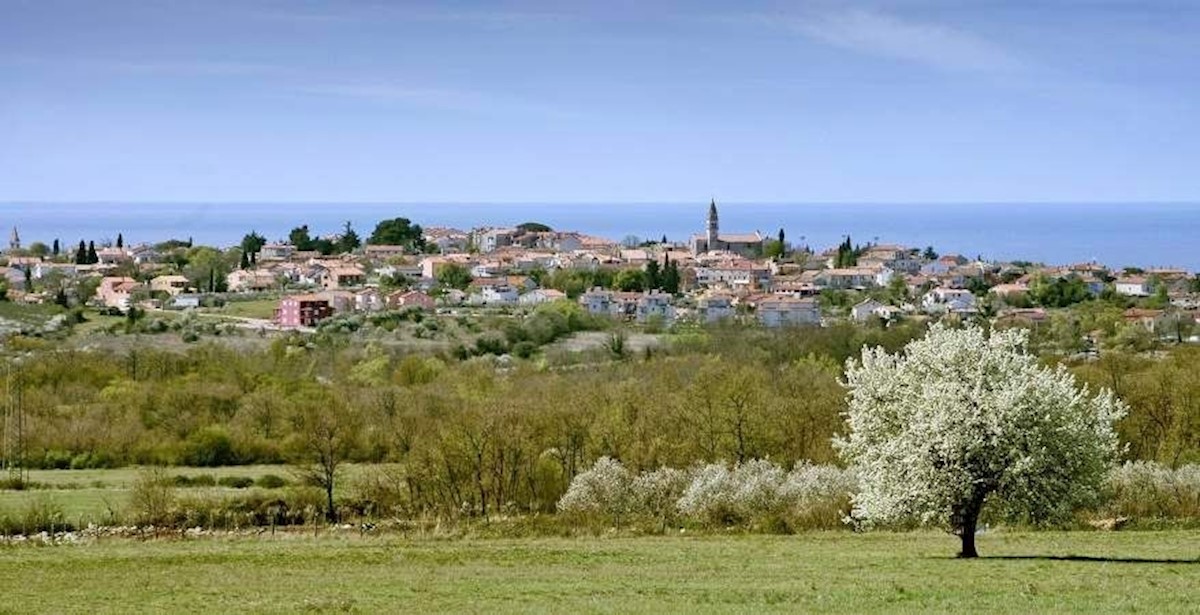 Pozemek Na prodej - ISTARSKA TAR-VABRIGA