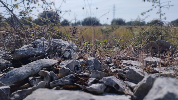 Parcela Naprodaj - Istarska Vodnjan - foto 4/8