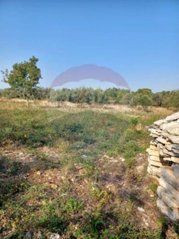 Terreno in vendita 4546 m² – Galižana