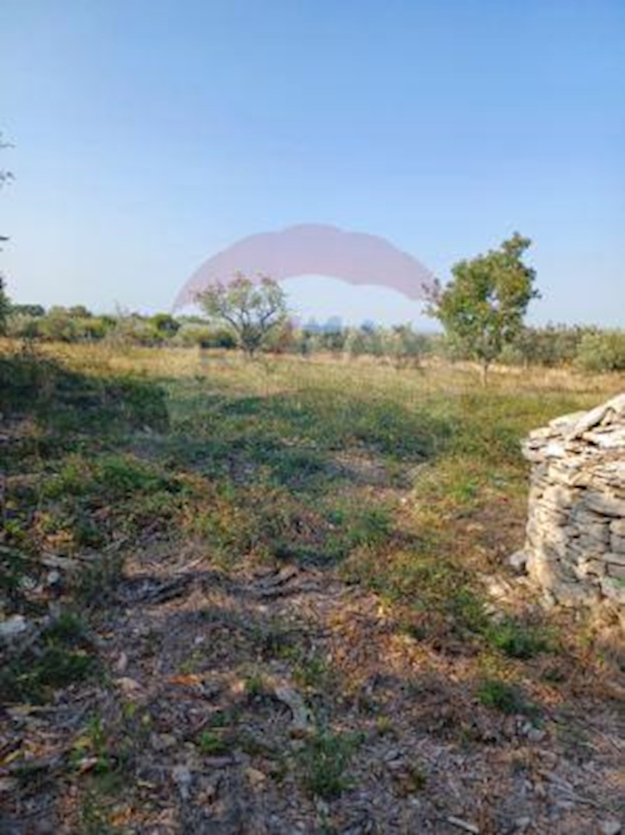 Terrain À vendre - ISTARSKA VODNJAN