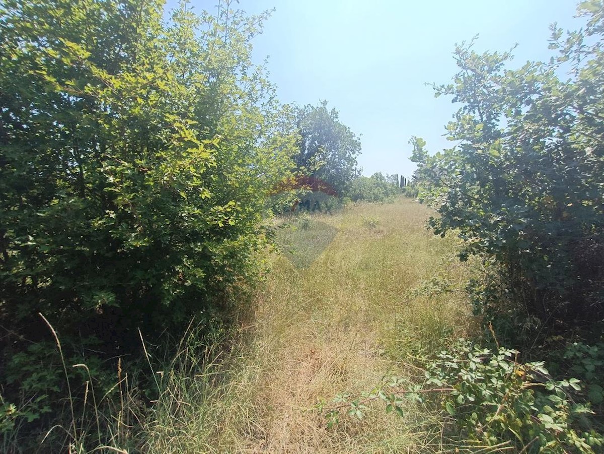 Terrain À vendre - ISTARSKA SVETVINČENAT