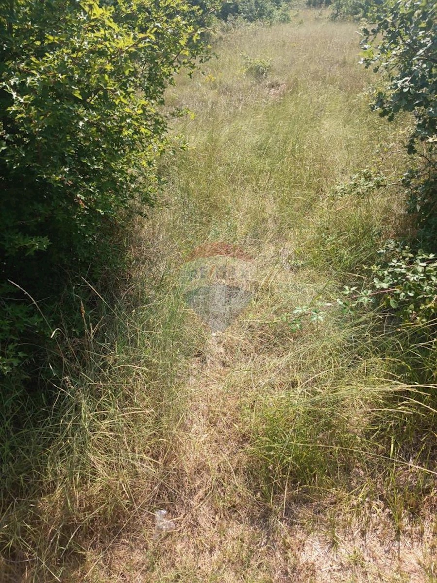 Terrain À vendre - ISTARSKA SVETVINČENAT