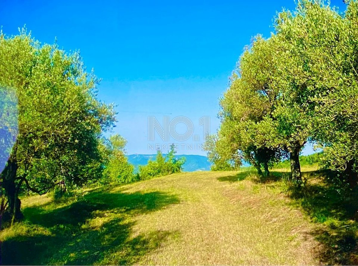 Land For sale - ISTARSKA CEROVLJE