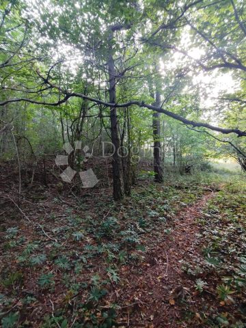 Pozemek na prodej 2640 m² – Klana