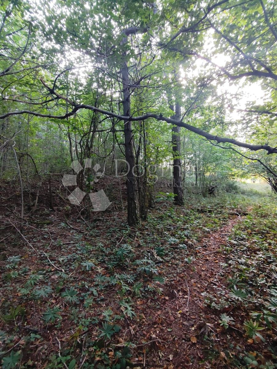Pozemek Na prodej - Primorsko-goranska Klana - foto 1/3
