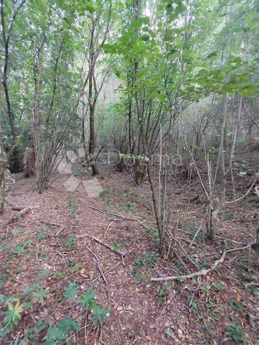 Pozemek Na prodej - Primorsko-goranska Klana - foto 2/3