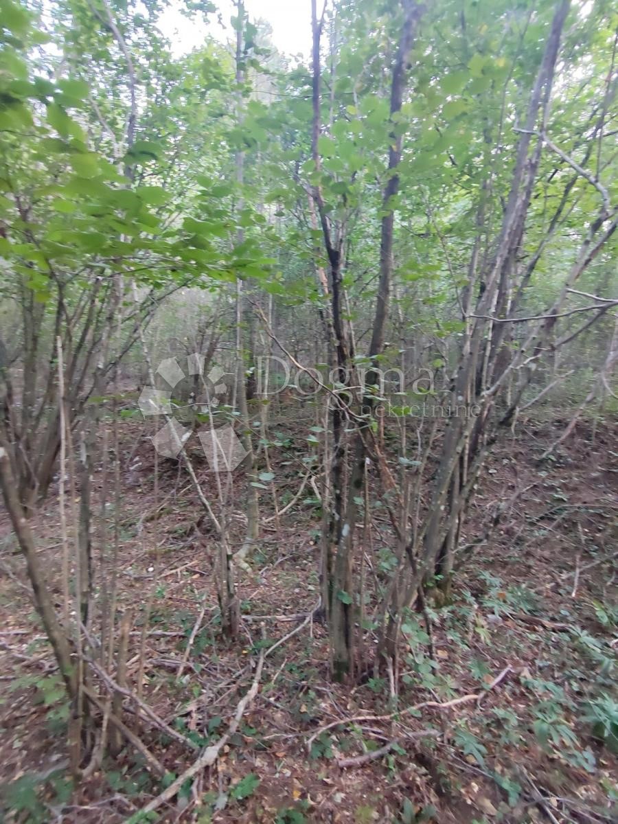Pozemek Na prodej - Primorsko-goranska Klana - foto 3/3
