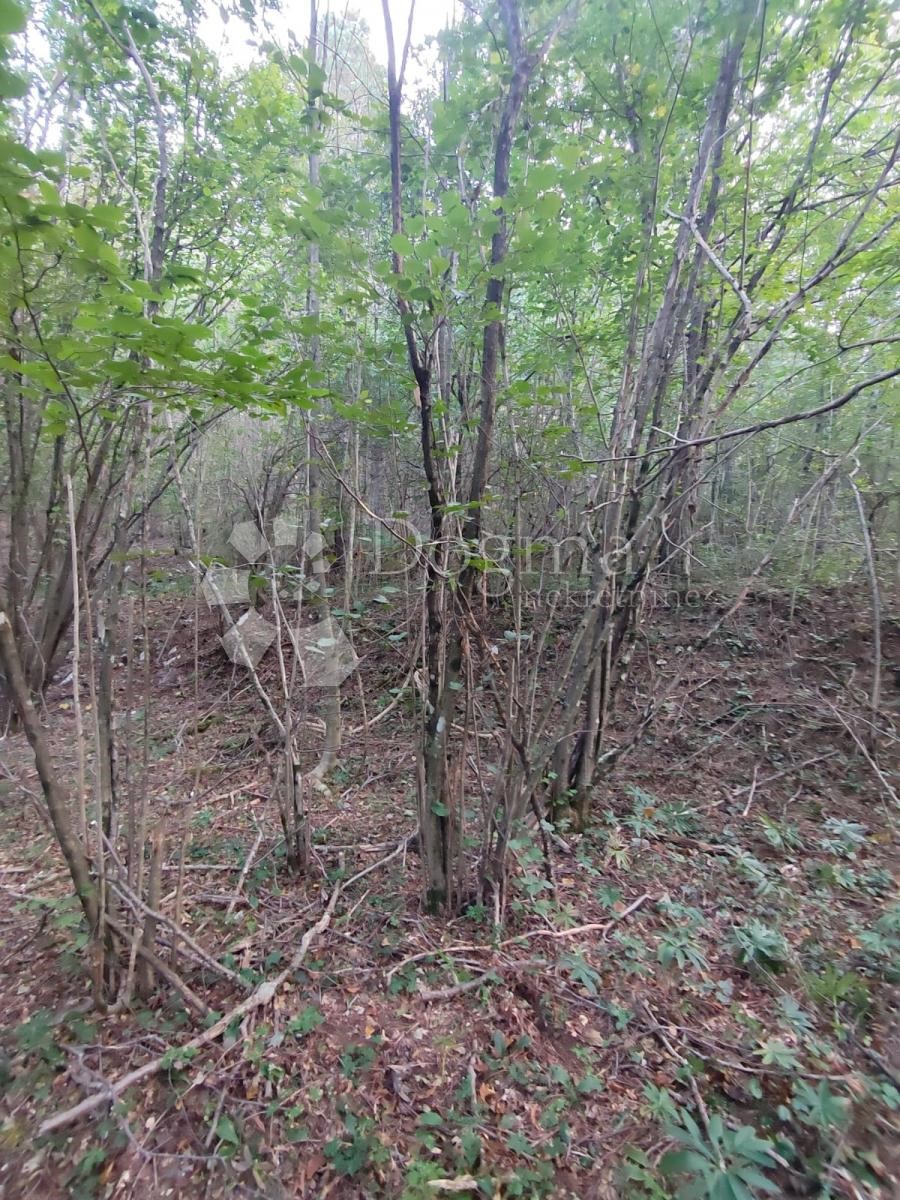 Parcela Naprodaj - PRIMORSKO-GORANSKA Klana