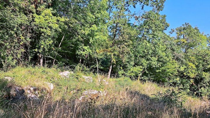 Zemljište na prodaju 4013 m² – Veprinac