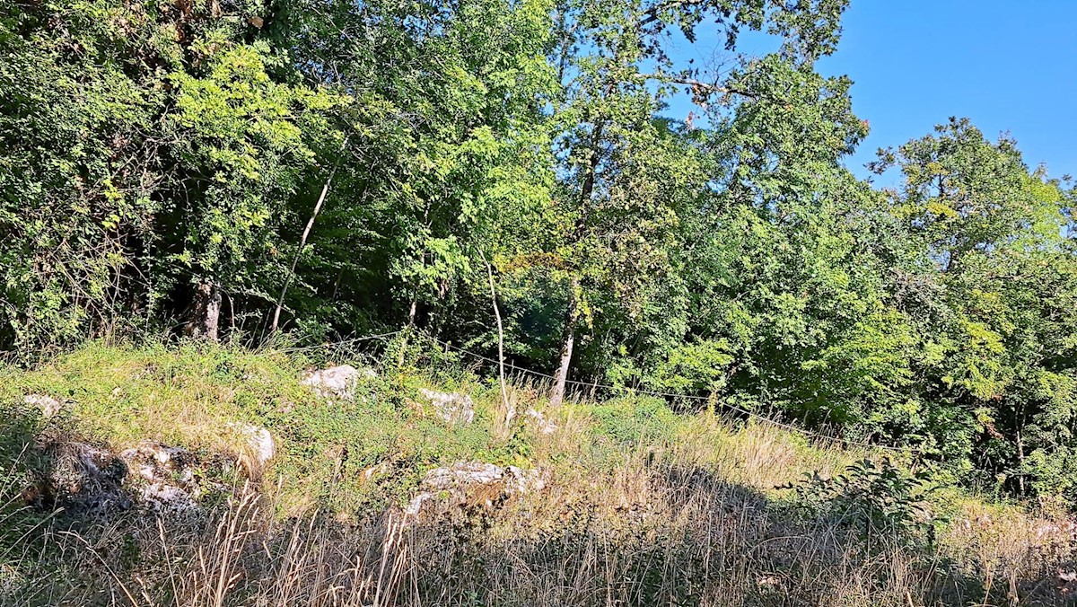 Terrain À vendre VEPRINAC