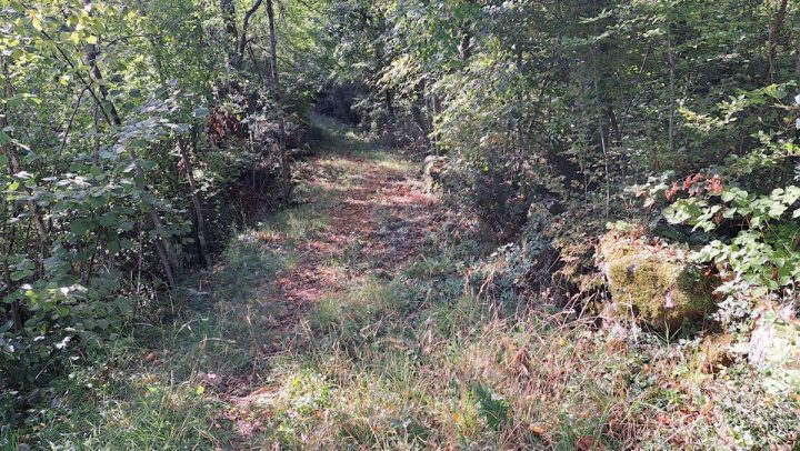 Parcela Naprodaj - Primorsko-goranska Matulji - foto 4/4